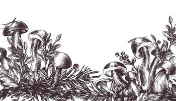 skog svamp, boletus, kantareller och blåbär, lingon, kvistar, kottar, löv. grafisk illustration hand dragen i svart bläck. ram, gräns, mall eps . vektor