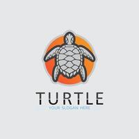 Schildkröte Tier Cartoon-Symbol vektor