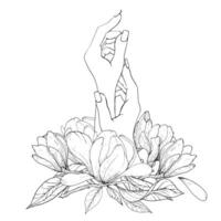 svartvit blommor och magnolia grenar och kvinna händer, hand ritade. svart och vit illustration av blommor, magnolia grenar och händer. vektor