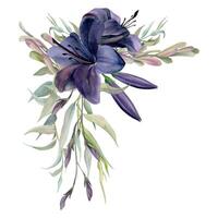 hand dragen vattenfärg illustration botanisk blommor löv. lilja clivia amaryllis, aska lönn poppel nycklar, vide eukalyptus gren. bukett isolerat på vit bakgrund. design bröllop, kärlek kort vektor