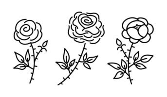 uppsättning av hand dragen reste sig blommor. svart linje illustration samling isolerat på vit bakgrund. vektor