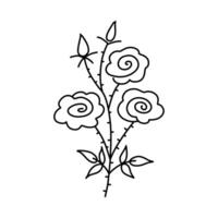 Ast von Rosenstrauch. Hand gezeichnet Strauch Rose. schwarz Linie Illustration isoliert auf Weiß Hintergrund. vektor