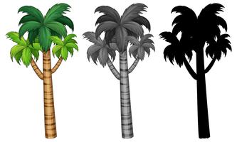Set av palmer vektor