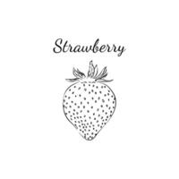 illustration av en jordgubbe, ritad för hand. skiss av en jordgubbe. jordgubb ikon och logotyp. svart och vit. vektor
