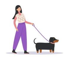 ung kvinna gående med söt hund. Lycklig sällskapsdjur ägare med tax. hund tränare eller hund rollator. sida se. platt illustration isolerat på vit bakgrund vektor