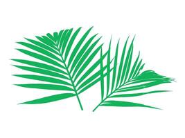 kokos handflatan löv bakgrund illustration vektor