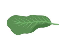 tropisk grön löv bakgrund illustration vektor