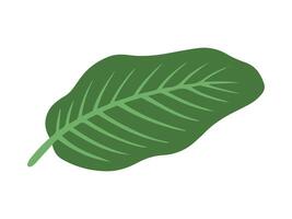 tropisk grön löv bakgrund illustration vektor