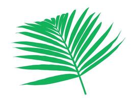 tropisch Grün Blätter Hintergrund Illustration vektor