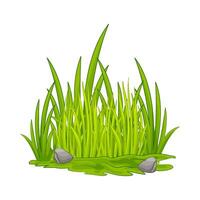 illustration av gräs vektor