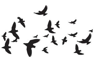 fliegend Vögel schwarz Silhouetten einstellen vektor