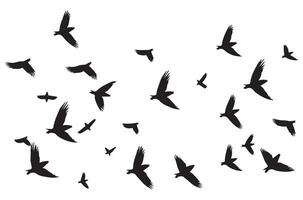 flygande fåglar silhuett uppsättning flygande fåglar ikon uppsättning uppsättning av flygande fåglar silhuetter vektor