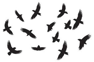 flygande fåglar silhuett uppsättning flygande fåglar ikon uppsättning uppsättning av flygande fåglar silhuetter vektor