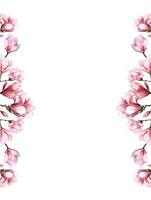 frisch Magnolie Blume botanisch Aquarell Illustration Blumen- Design Blütenblätter Blühen Frühling tropisch Rosa schön Pflanze Rand Hintergrund Vorlage vektor