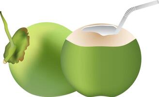 Kokosnuss Wasser mit Stroh und frisch jung Kokosnuss Obst isoliert auf ein Weiß Hintergrund. vektor