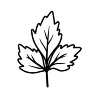 schwarz Linie Sellerie Symbol Clip Art Gemüse Illustration vektor