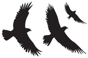flygande fåglar silhuetter illustration vit bakgrund vektor