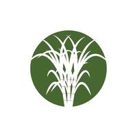 Zuckerrohr Logo Vorlage Symbol Design vektor