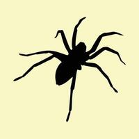 Spindel platt silhuett skrämmande djur- dödligt design och Spindel silhuett arachnid Skräck bild. symbol av en svart Spindel silhuett, natur fobi, insekt hot. vektor
