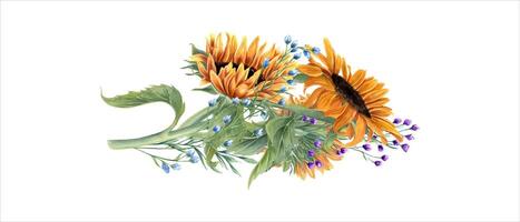 Wiese Wildblume Strauß. Gelb Orange Sommer- Blumen auf Stengel mit Blätter. Sonnenblumen und Feld Blühen Pflanzen Lügen horizontal. Aquarell Illustration. zum Schreibwaren, Einladung vektor