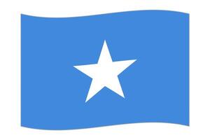 winken Flagge von das Land Somalia Inseln. Illustration. vektor