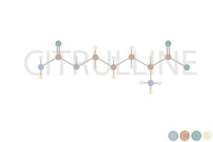 citrullin molekyl skelett- kemisk formel vektor