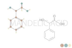 Mandel Acid molekular Skelett- chemisch Formel vektor