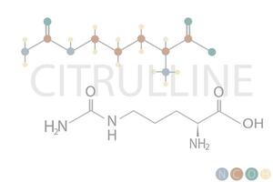 citrullin molekyl skelett- kemisk formel vektor