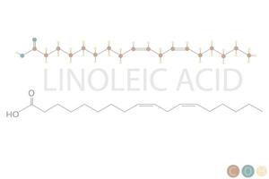 linolsyra syra molekyl skelett- kemisk formel vektor