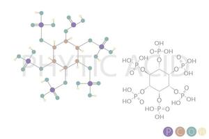 phytisch Acid molekular Skelett- chemisch Formel vektor