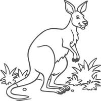 känguru färg sidor. känguru djur- översikt för färg bok vektor