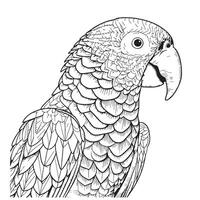 schön Papagei Gesicht Hand gezeichnet skizzieren Vogel Illustration vektor