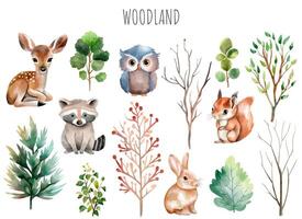 uppsättning av vild vattenfärg skog djur. grön träd och växter. skog djur. rådjur, Uggla, hare, ekorre. vektor
