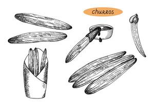 churros och skål med varm choklad hand dragen graverat skiss. uppsättning med årgång grafisk av mexikansk och spanska traditionell efterrätt mat, bakning, sötsaker. illustration på isolerat bakgrund vektor