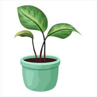 Illustration von ein eingetopft Zimmerpflanze mit Blätter. vektor
