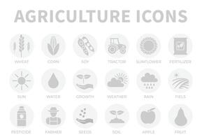 ljus grå lantbruk runda ikon uppsättning av vete, majs, soja, traktor, solros, gödselmedel, Sol, vatten, tillväxt, väder, regn, fält, pesticid, jordbrukare frön, jord, äpple, frukt ikoner. vektor