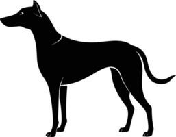 schwarz und Weiß Silhouette von ein Jagd Hund Stehen vektor