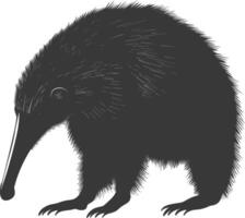 Silhouette Ameisenbär Tier schwarz Farbe nur voll Körper vektor