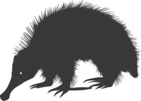 Silhouette Ameisenbär Tier schwarz Farbe nur voll Körper vektor