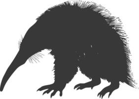 Silhouette Ameisenbär Tier schwarz Farbe nur voll Körper vektor