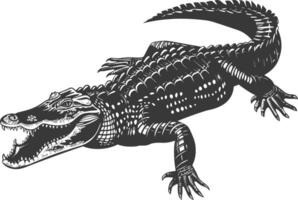 Silhouette Alligator Tier schwarz Farbe nur voll Körper vektor