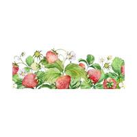 nahtlos Rand mit Aquarell Erdbeeren und Blätter vektor