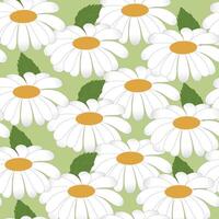 söt daisy sömlös mönster. vår mönster. minimalistisk stil. tapet med blommor, textilier, omslag papper. vektor