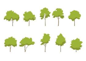 träd linje teckning sida se grafik träd element enda objekt översikt minimal växt vektor
