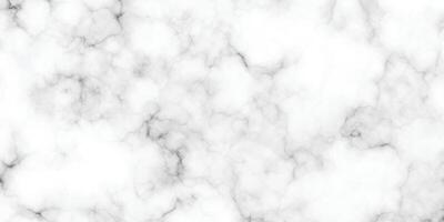 marmor granit vit panorama bakgrund. abstrakt ljus elegant svart do golv, keramisk textur sten platta. marmor textur bakgrund med hög upplösning. vektor