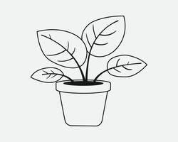 Pflanze im Topf Symbol zum Zuhause Dekoration. Zimmerpflanze schwarz und Weiß Linie Illustration. vektor