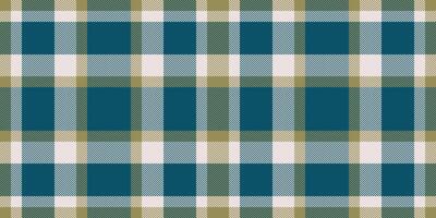 kolla upp tartan sömlös av pläd mönster textil- med en bakgrund tyg textur . vektor