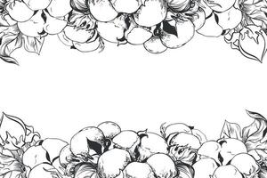 rechteckig horizontal Rahmen mit Baumwolle Blumen und Raum zum Text. linear skizzieren von Weiß Baumwolle Bälle, Blätter und Geäst. retro Tinte Illustration. Design zum Etikett, Schild, Hochzeit Einladung. vektor