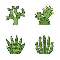 vilda kaktus färg ikoner set. gröna suckulenter. exotisk mexikansk flora. chola, prickly pear, zebrakaktus, orgelpipskaktus. isolerade vektorillustrationer vektor