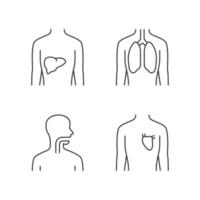 friska mänskliga organ linjära ikoner set. lever och lungor vid god hälsa. fungerande hjärta. hälsosam hals. tunn linje kontur symboler. isolerade vektor kontur illustrationer. redigerbar linje